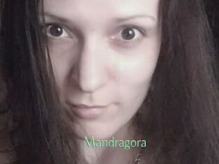 Mandragora