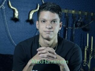 MaxHamintonn