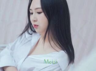 Meizi Motion X