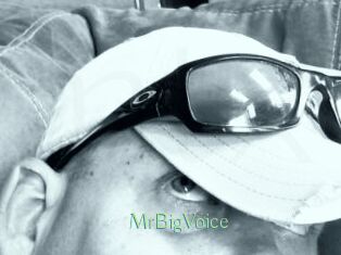 MrBigVoice