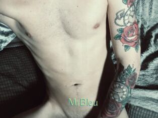 MrBleu