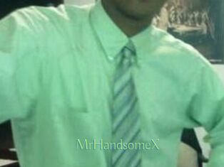 MrHandsomeX