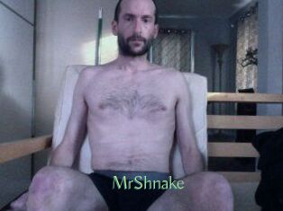 MrShnake