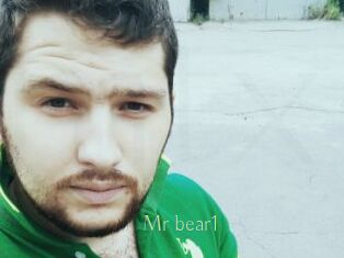 Mr_bear1