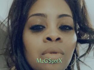 MzGSpotX Motion X