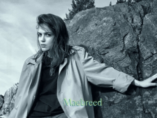 Maebreed