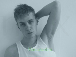 marcuscobra Motion X