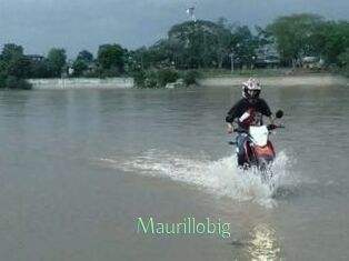 Maurillobig