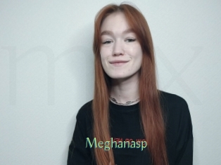 Meghanasp