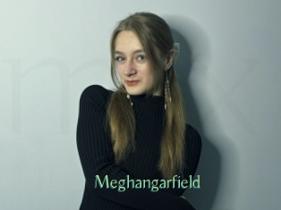 Meghangarfield