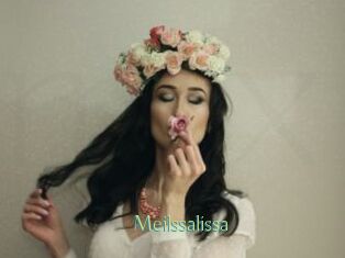 Meilssalissa