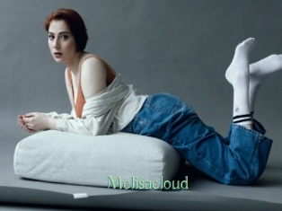 Melisacloud