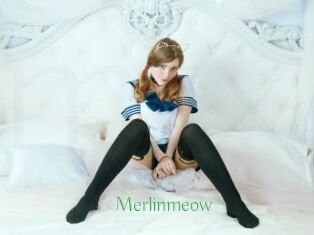 Merlinmeow
