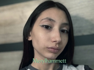 Merylhammett