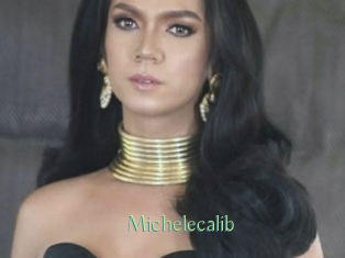 Michelecalib