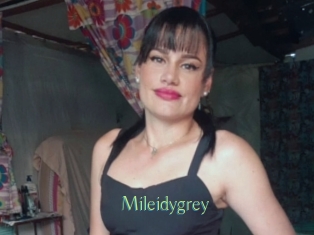 Mileidygrey