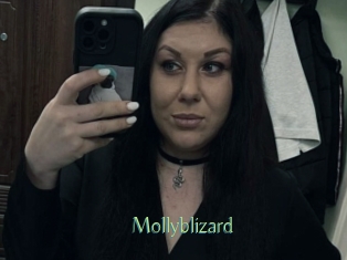 Mollyblizard