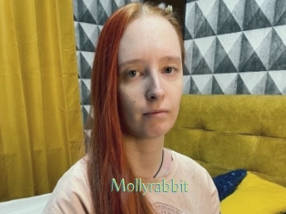 Mollyrabbit