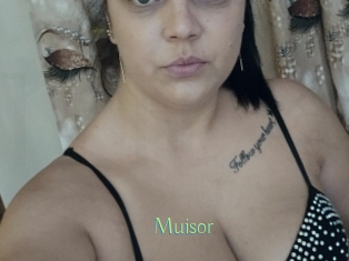 Muisor