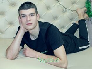 NigelBud