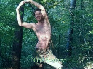 NinjaDickstroyr