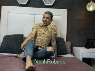 NoahRoberts