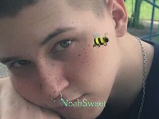 NoahSweet