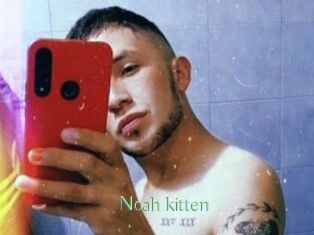 Noah_kitten
