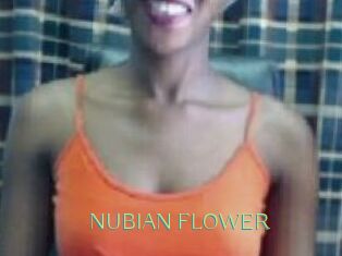 _NUBIAN_FLOWER_