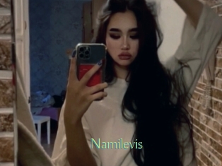 Namilevis