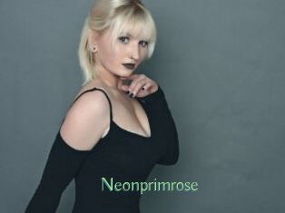 Neonprimrose