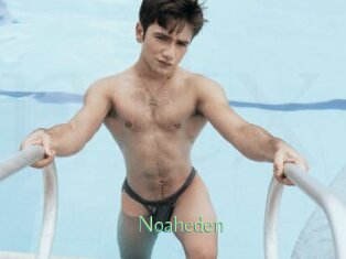 Noaheden