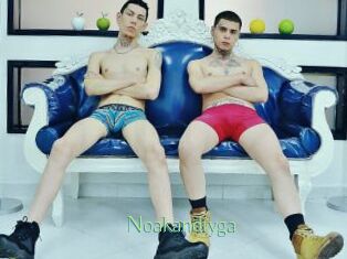 Noakandtyga