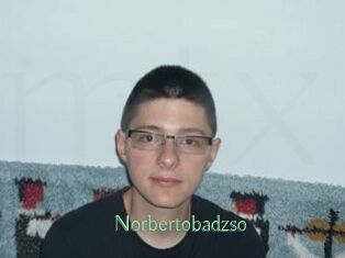 Norbertobadzso
