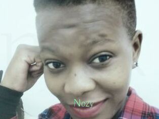 Nozy