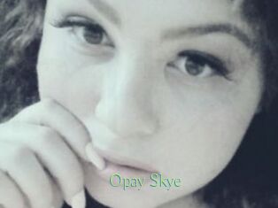 Opay_Skye