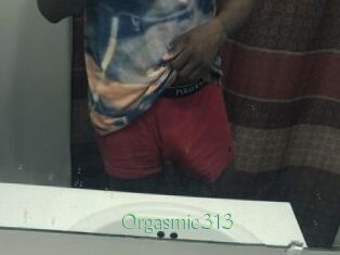 Orgasmic313