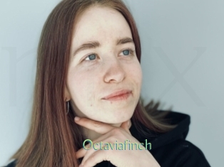 Octaviafinch