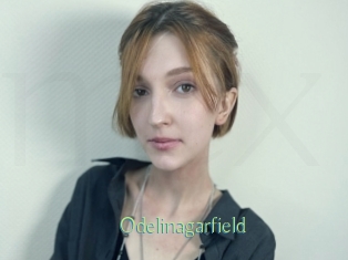 Odelinagarfield