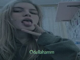 Odellahamm