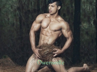 owenwolfe Motion X