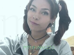 PITUFINA1223