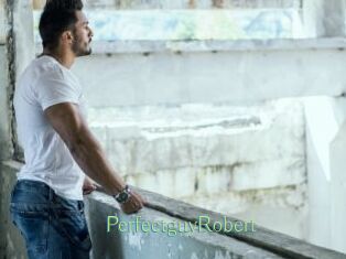 PerfectguyRobert