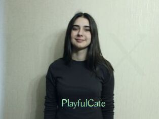 PlayfulCate