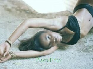 PlayfulPrey