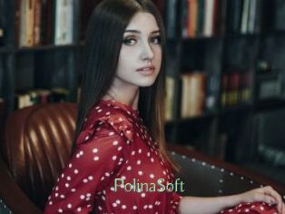 PolinaSoft