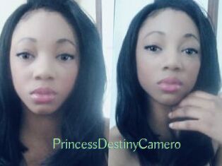 PrincessDestinyCamero