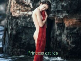 Princess_cat_ica