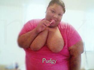 Pudgy