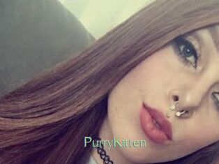 PurryKitten